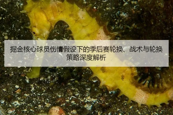 jue-jin-he-xin-qiu-yuan-shang-qing-jia-she-xia-de-ji-hou-sai-lun-huan-zhan-shu-yu-lun-huan-ce-lve-shen-du-jie-xi-2-926.jpg
