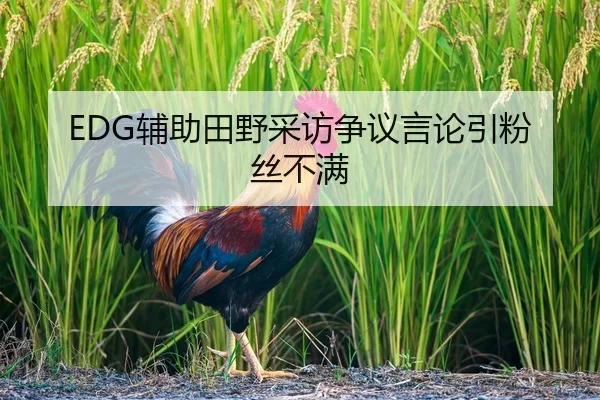 EDG辅助田野采访争议言论引粉丝不满